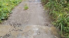 Ruas jalan yang menghubungkan desa Tewe dan Tabadamai, (Dok.Elang). 