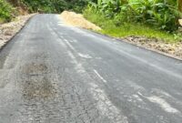 Tampak jalan Goin-Kedi yang bersumber dari Dana PEN, (Istimewa). 