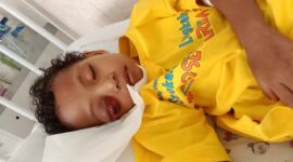 Shafa, || Foto: Istimewa.