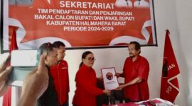 Pendaftaran Cakada DPC PDIP Halbar, || Foto: Istimewa