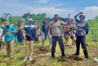 Panen Singkong Perdana di desa Bobane Dano, Jailolo Selatan, || Foto: Istimewa