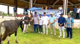 Penyerahan Sapi kurban, || Foto: Elang