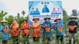 TP PPK Halmahera Barat dan Provinsi Malut, saat memanen Cabai, || Foto: Ghez. 