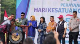 Dok/Istimewa 